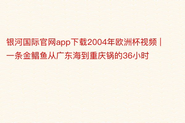 银河国际官网app下载2004年欧洲杯视频 | 一条金鲳鱼从广东海到重庆锅的36小时