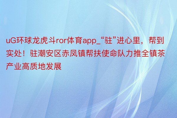 uG环球龙虎斗ror体育app_“驻”进心里，帮到实处！驻潮安区赤凤镇帮扶使命队力推全镇茶产业高质地发展