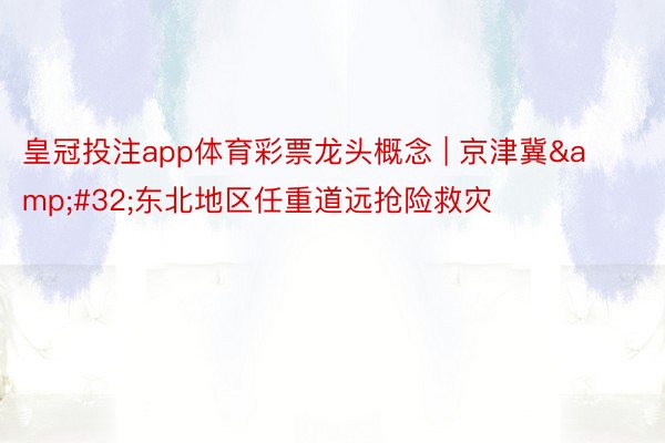 皇冠投注app体育彩票龙头概念 | 京津冀&#32;东北地区任重道远抢险救灾